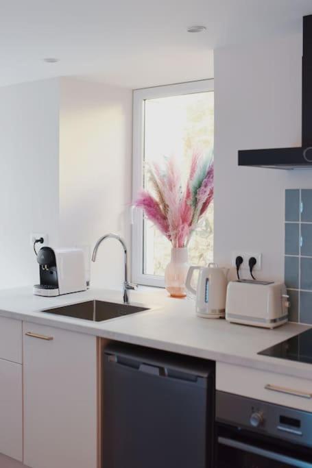 Aquaroom Rdc - 50m - Rue Gratuite Apartment